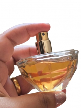 Perfume Brand Collection 105